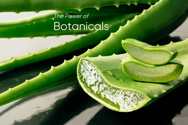 The Powerful Skincare Benefits of Botanicals