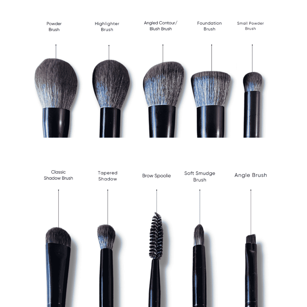 ISSADA Starter 10 Piece  Brush Set
