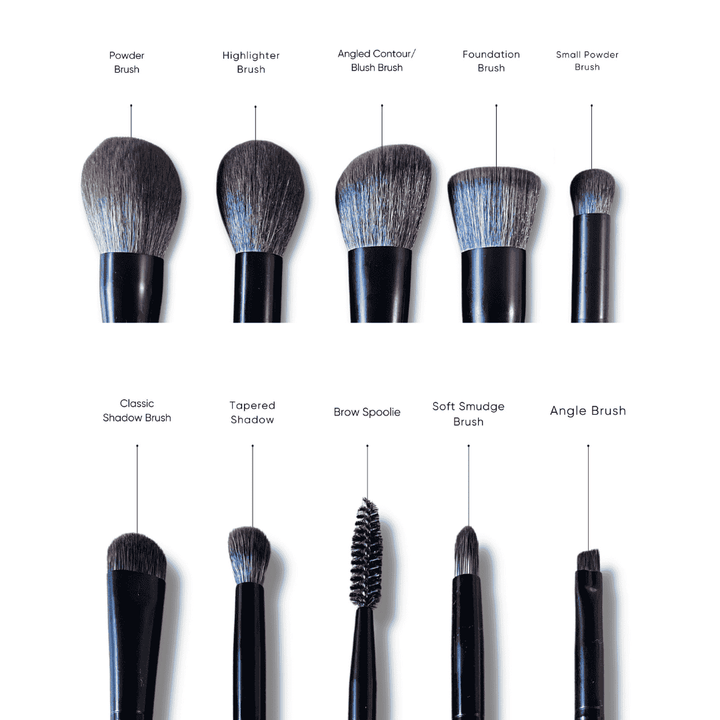 ISSADA Starter 10 Piece  Brush Set